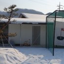 동호리농장 이미지