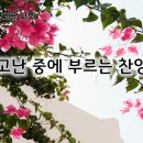 8월 29일(목) 고난 중에 부르는 찬양! 이미지