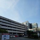 영신자전거 | 260413 부산 KCC vs 원주 DB 6강 플레이오프 원정 직관, 원주DB프로미아레나 P2구역 6열 시야