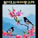아리랑휴게실 이미지