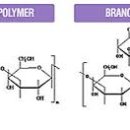라이프약국 이미지
