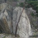 중암사지 팔각부도 | 완도...중암사지 부도