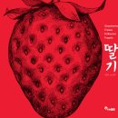 우주딸기 이미지