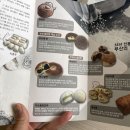 비엔씨(B&C)