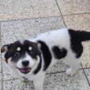 반려마루 화성 이미지