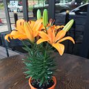 스테이크레이브 아산점 이미지