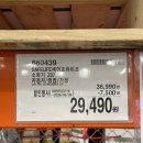 헤스티아 플렉스 이미지