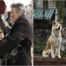 하치이야기 이미지