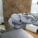 성지공업사 이미지