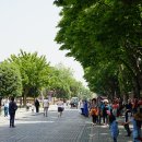 2025 그리스 튀르키에 패키지관광여행기(49)...이스탄불 관광을 하기 전에 실크로드의 도시인 샤프란볼루로 가다. 이미지