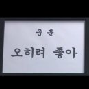 도비헤어