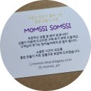 미니정원(테라리움) 이미지