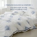 반하실면도