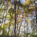 우면산6-11 이미지