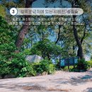 방죽포해수욕장(송림) 이미지