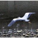 신천삼거리 이미지