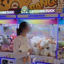 양파인형뽑기 이미지