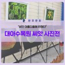 백두대간 자생씨앗 아름다움에 반하다 | [김왕중] 대아수목원 씨앗 사진전 “씨앗 아름다움에 반하다”