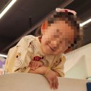 [김해 플레이213] 율하 키즈카페 아이가 놀기 좋은 실내 놀이터