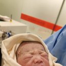 청담병원 | 막달에 출산병원 옮겼어요｜청담마리 → 송도 곽생로산부인과 전원 후기