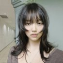 와드(WAD)