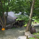 산속의친구 이미지