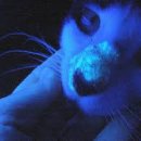 문정힐스 동물병원 이미지