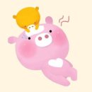 대성신협 이미지