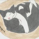 만나 티스토리