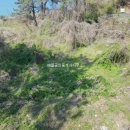 대교부동산 공인중개사사무소 이미지