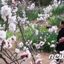 하도문쌈채마을 이미지