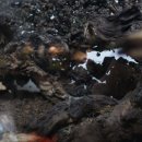 디자인숨 - 광주시 오포로171번길 17-14 | 디자인숨