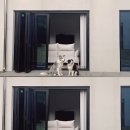 스테이 뭉구 이미지