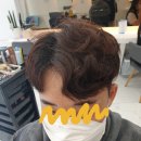 제르비안 이미지