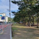 송호초등학교 앞 이미지