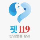 펫119 이미지