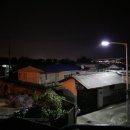 초록숲약국 이미지