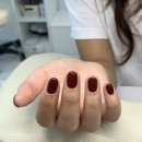 네일헤이븐