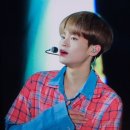 애기미 이미지