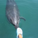 (주)마린파크 이미지