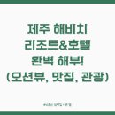 제주 해비치 리조트&amp;호텔 완벽 해부! (오션뷰, 맛집, 관광지까지 총정리!)