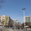 장미아파트 앞 이미지