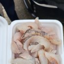 대호만로1 이미지