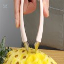 디자인 파인애플