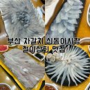 자갈치상회 | 부산 자갈치시장 신동아시장 맛집 철이상회 내돈내산 후기