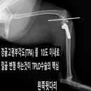쥬만지동물의료센터 이미지