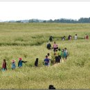 노적봉농장 이미지