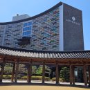 스위트 | 분리수면 아기랑 호캉스, 부여 롯데리조트 콘도 스위트 후기