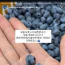 선향원