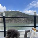 중화리공원 | 고령군 대가야읍 뷰맛집 대구근교카페 비올댓